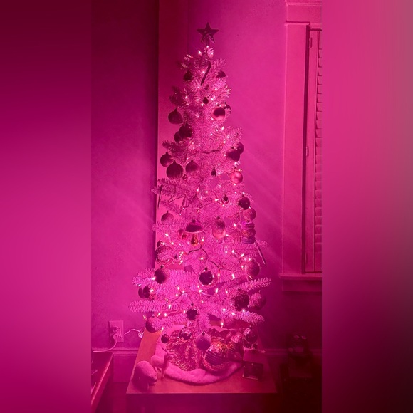 Mr. Appleby’s Pop Up Share Show - Picture 3 of 10